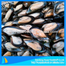 tasty frozen wholesale plenty of half shell mussel fast delivery